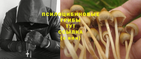 MDMA Пестово